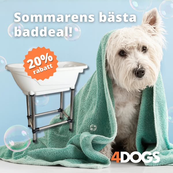 Fri frakt & snabb leverans | Köp idag!