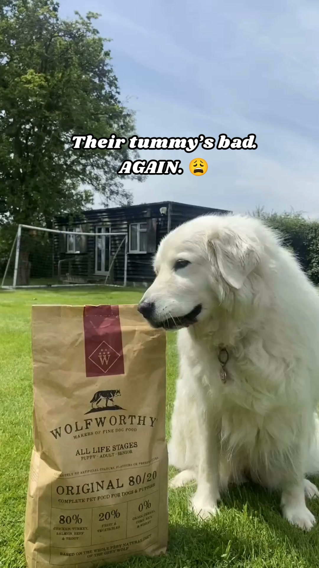 Try a Little Before a Bigger Bag