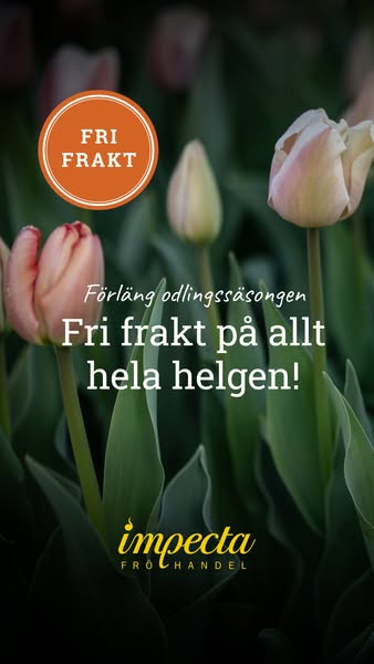 Fri frakt hela helgen