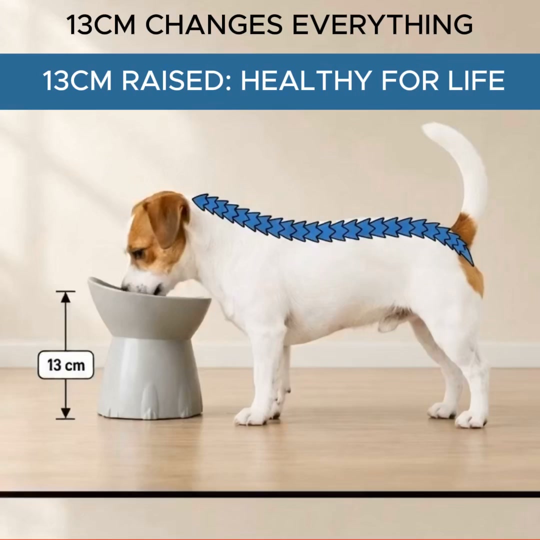 Orthopedic Bowl
