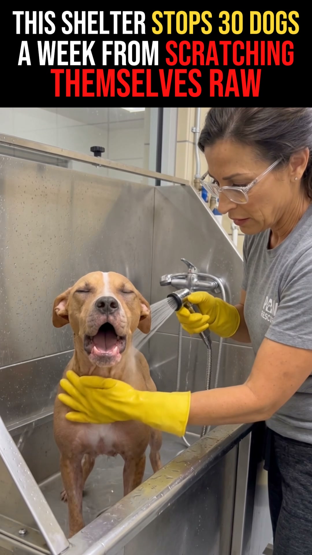 Target the root cause of constant scratching