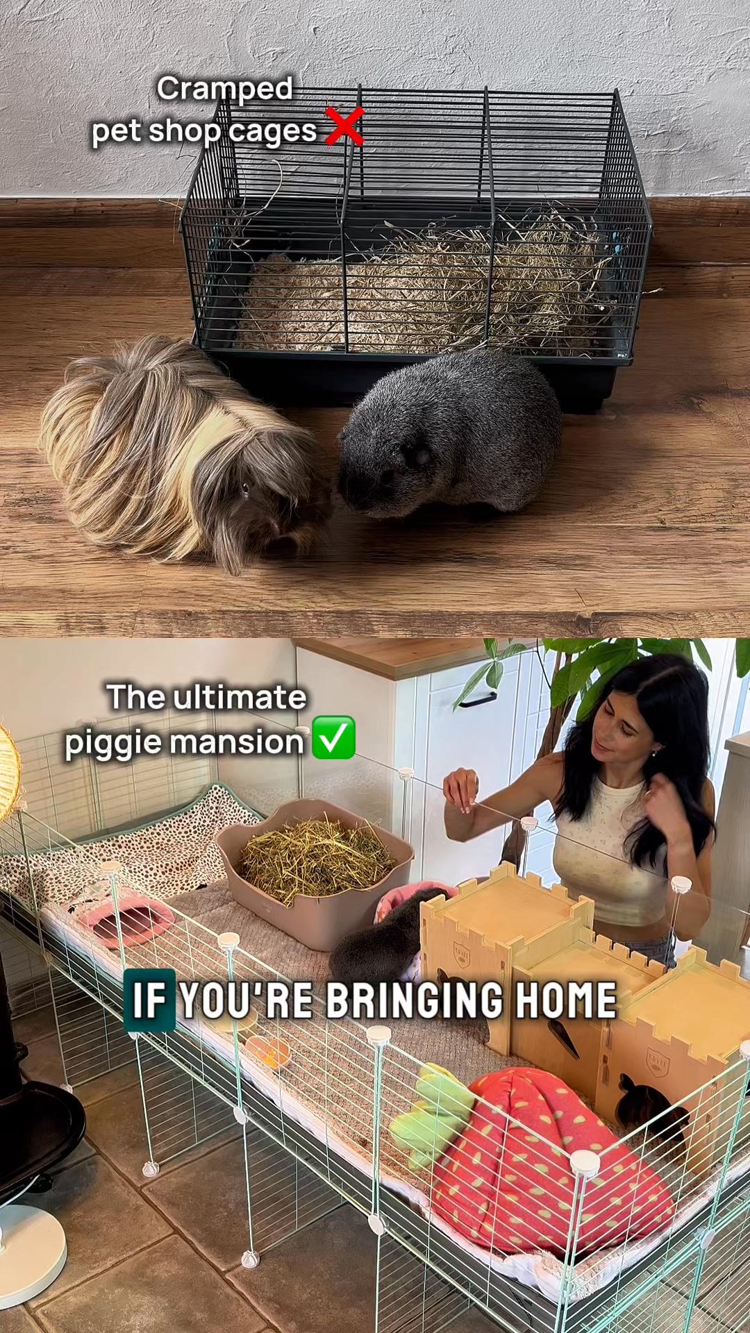 Piggy-Approved Essentials