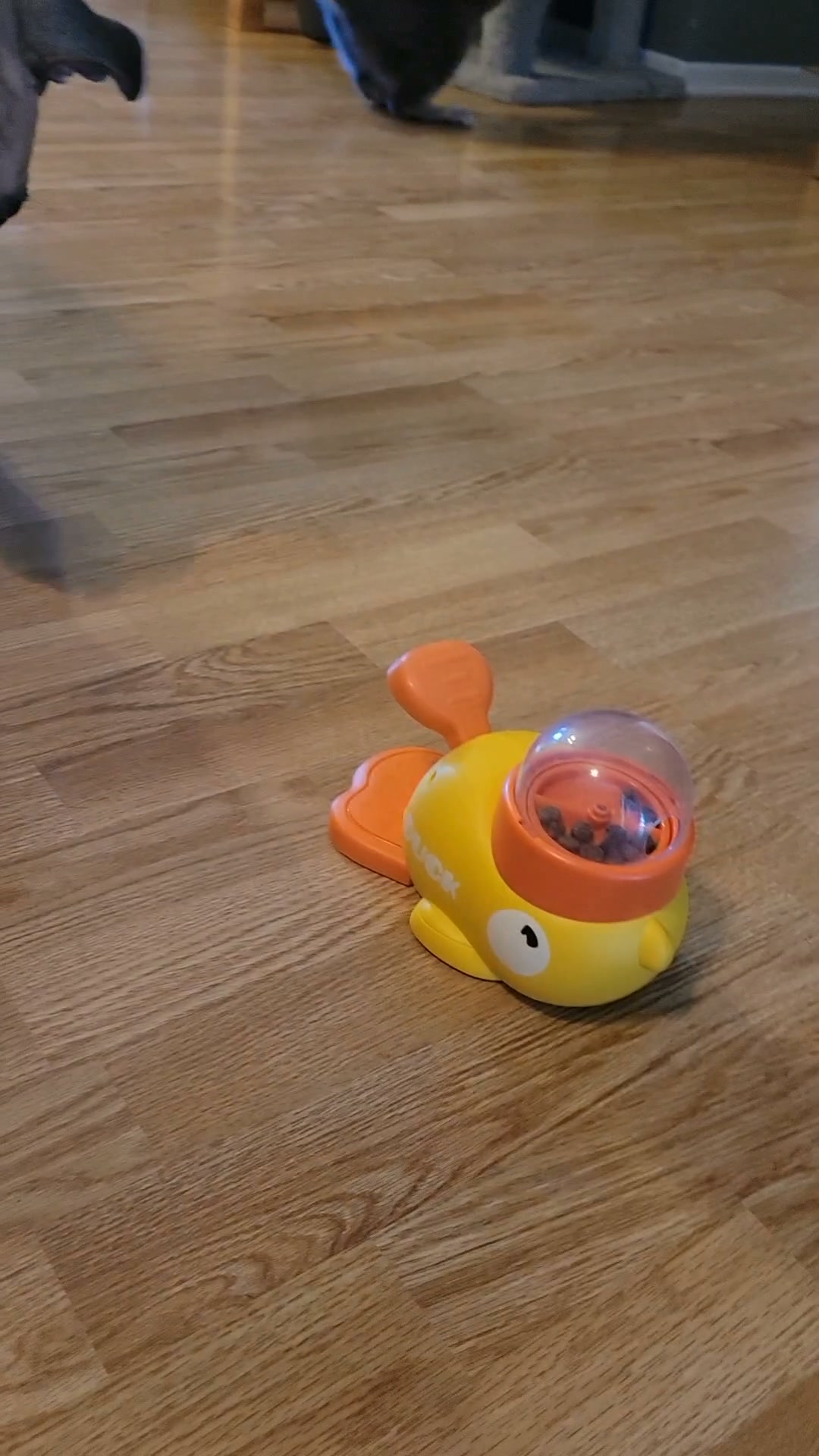 Ten Seconds. That's All It Took Him.