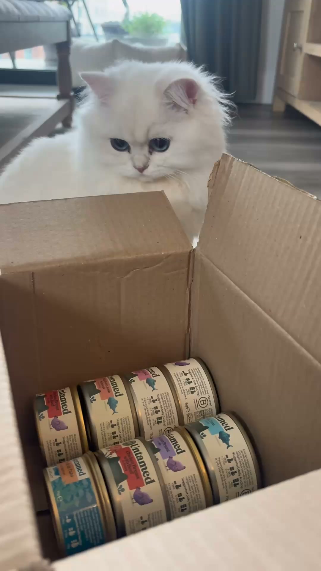 Grab Your £7 Trial Box Today!