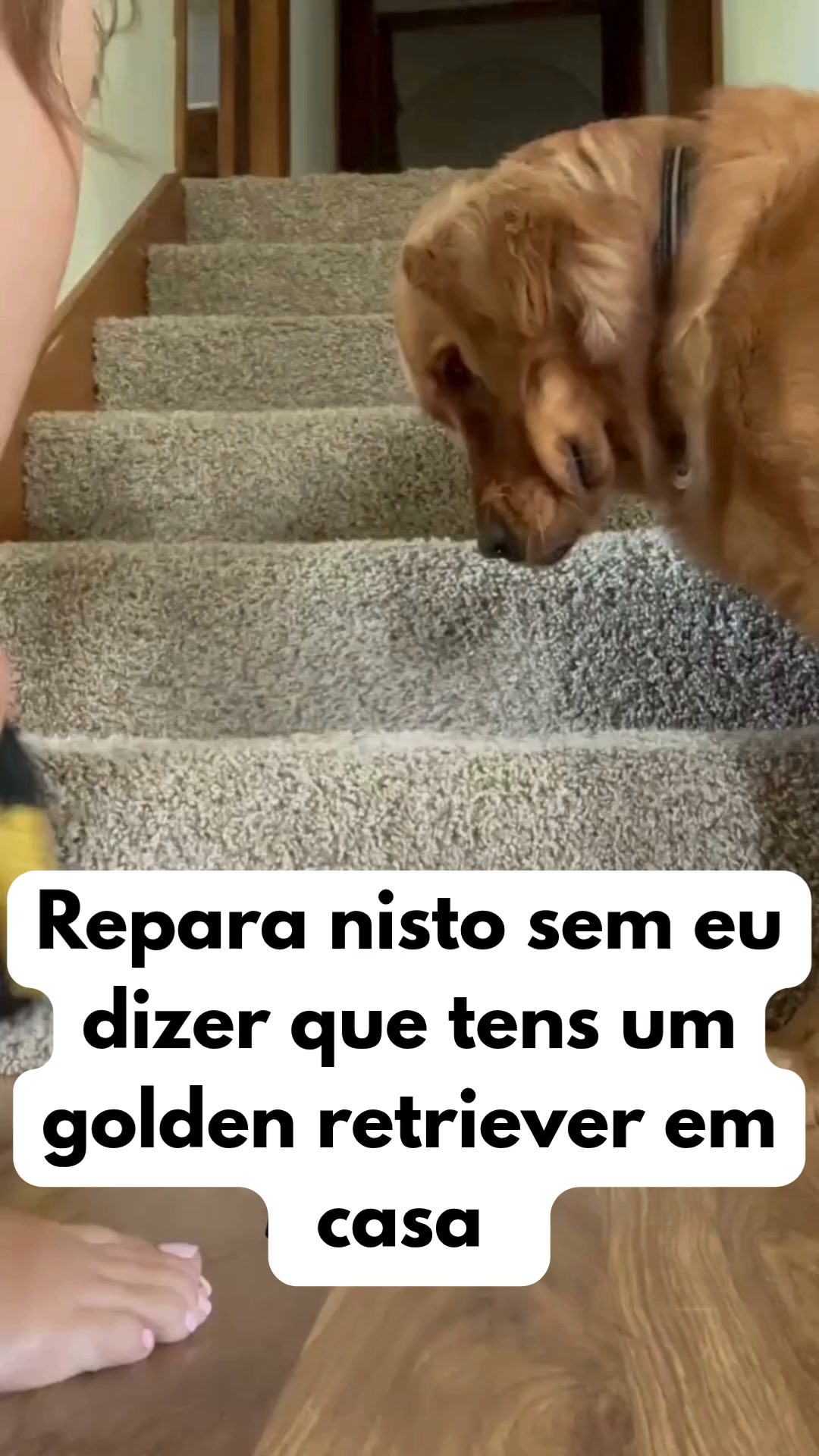Remove pelos. Paga quando chega.