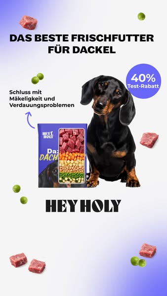 Jetzt 40% Test-Rabatt sichern