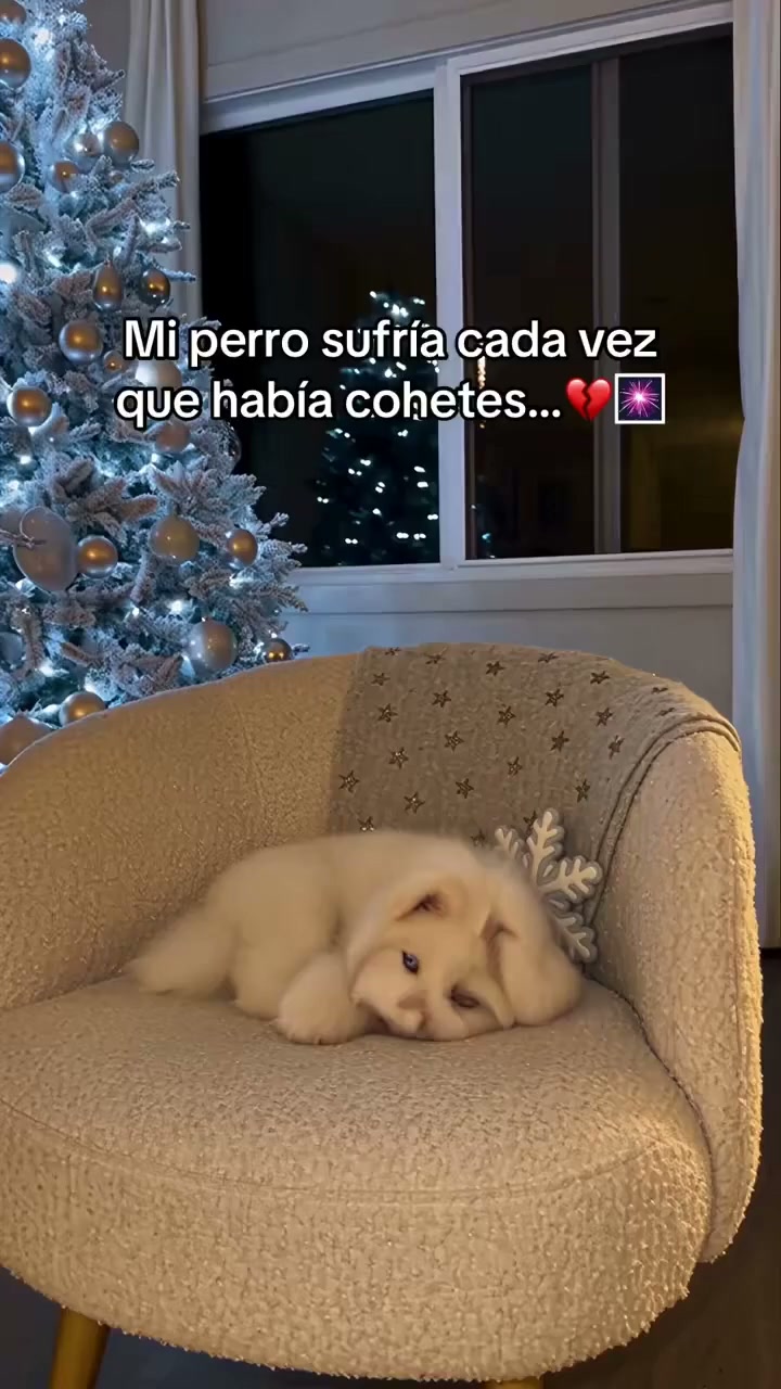 Anúncio de Ruaraa shop