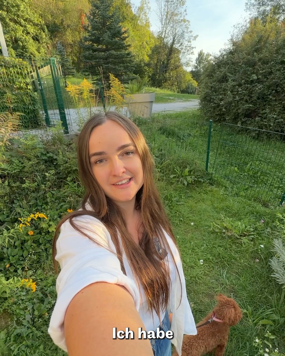 Speziell für Pudel & Doodles