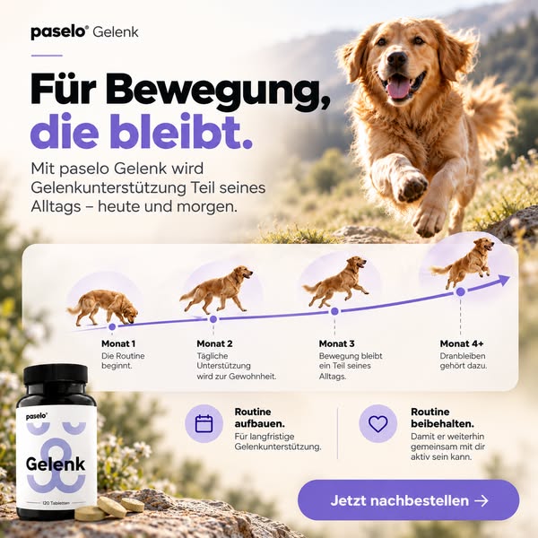 Für Bewegung, die bleibt.