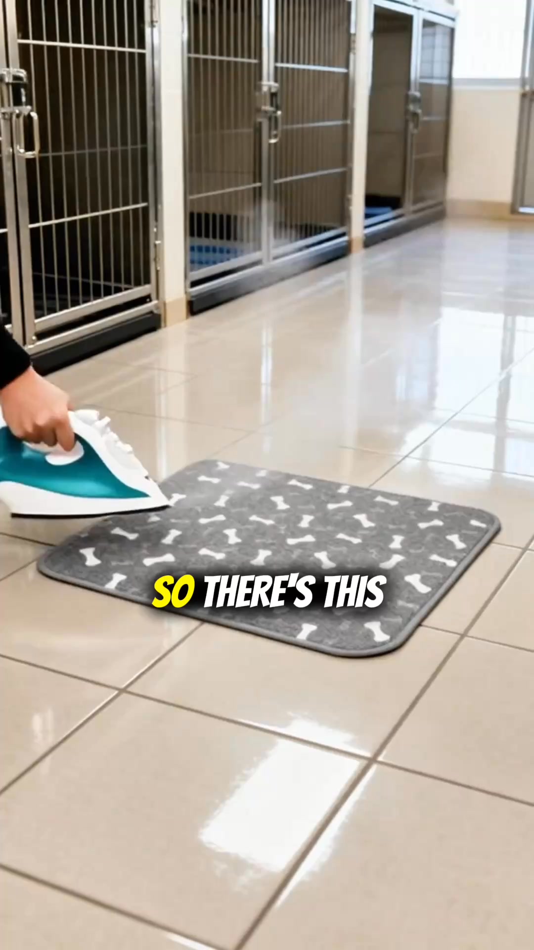 How We Potty Train Any Dog Instantly