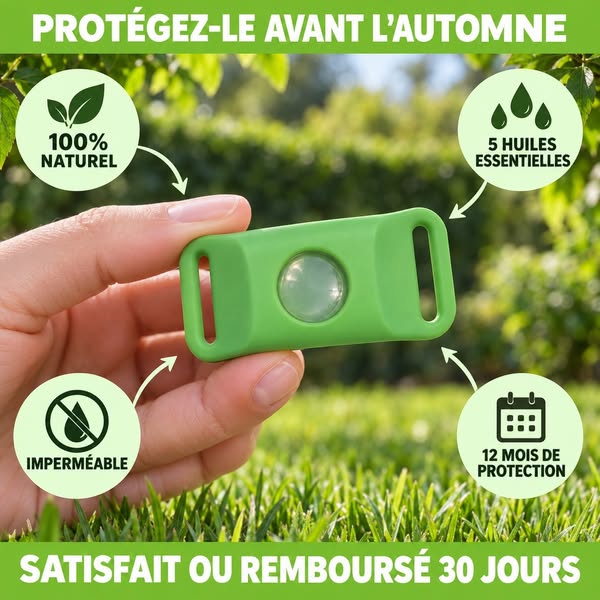 Un pendentif. 12 mois. Zéro tique.