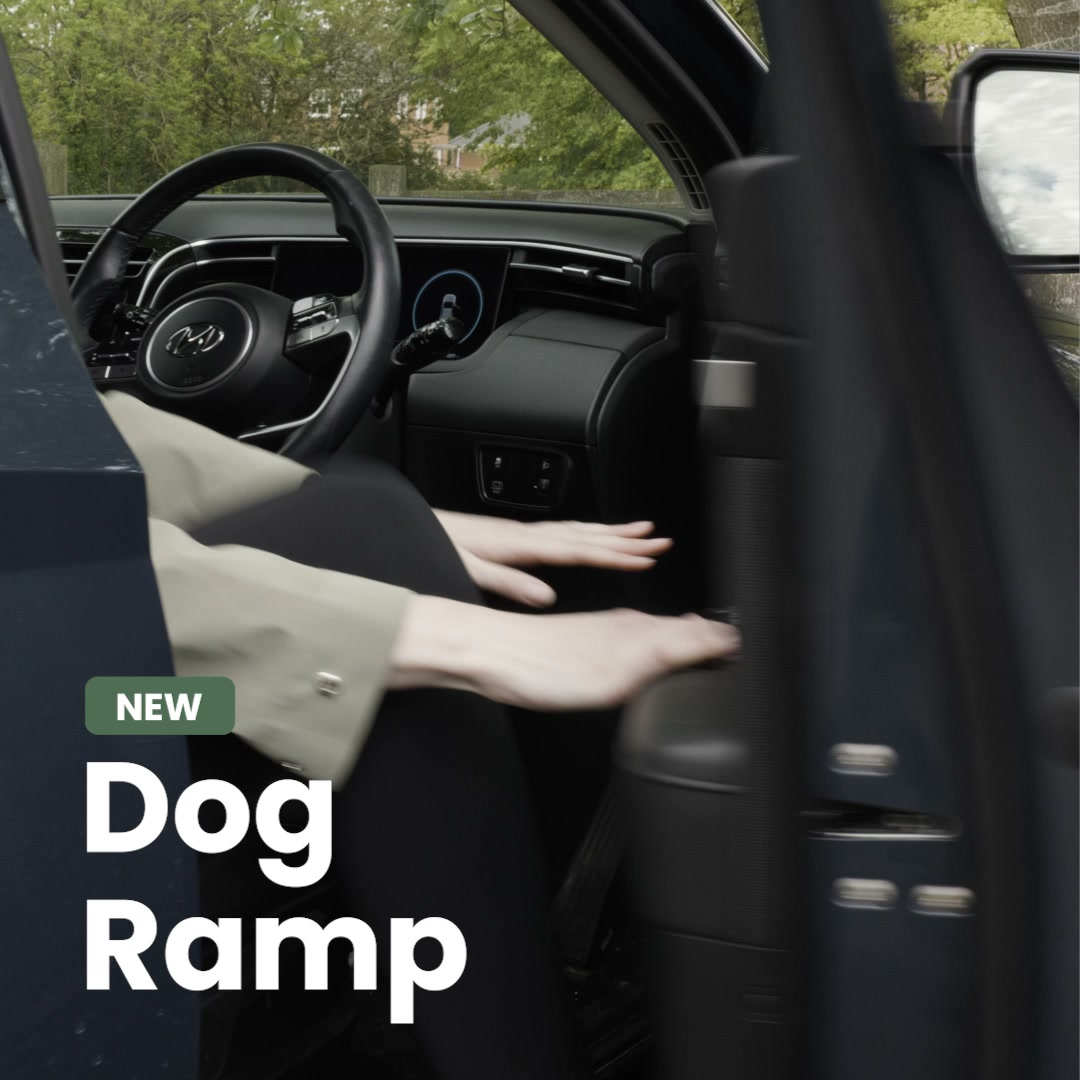 Safer, easier journeys with Travall's Dog Ramp