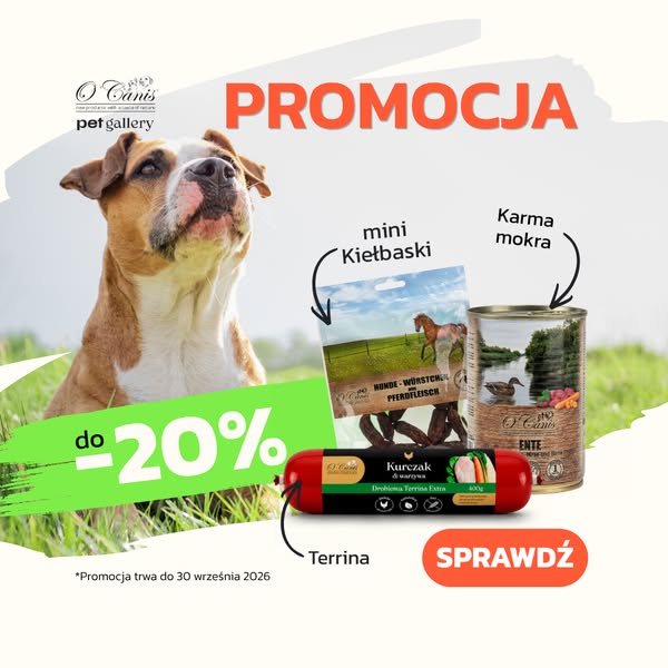 Teraz do -20%