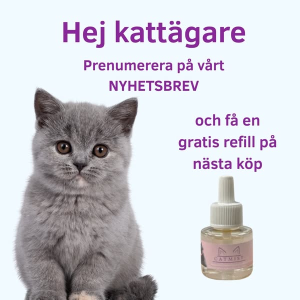 {{product.name}}