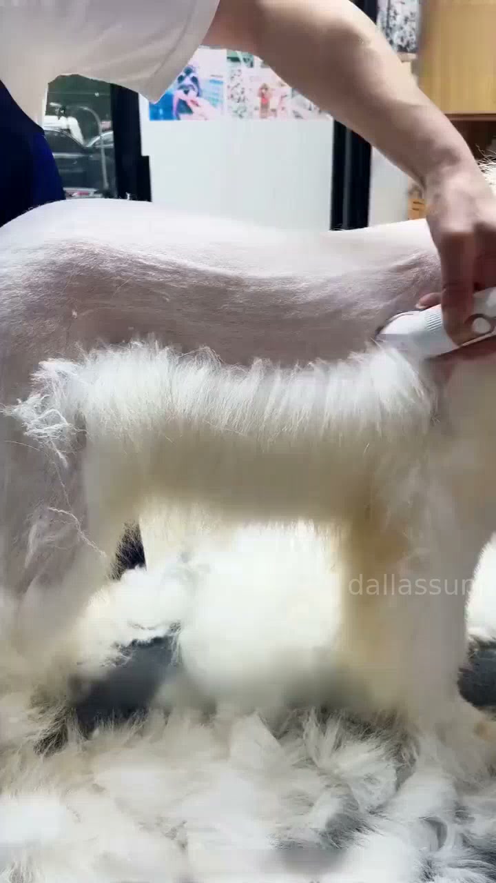 Anúncio de DallasSunny Shop