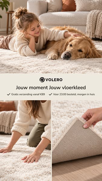 De Vloerkledenspecialist