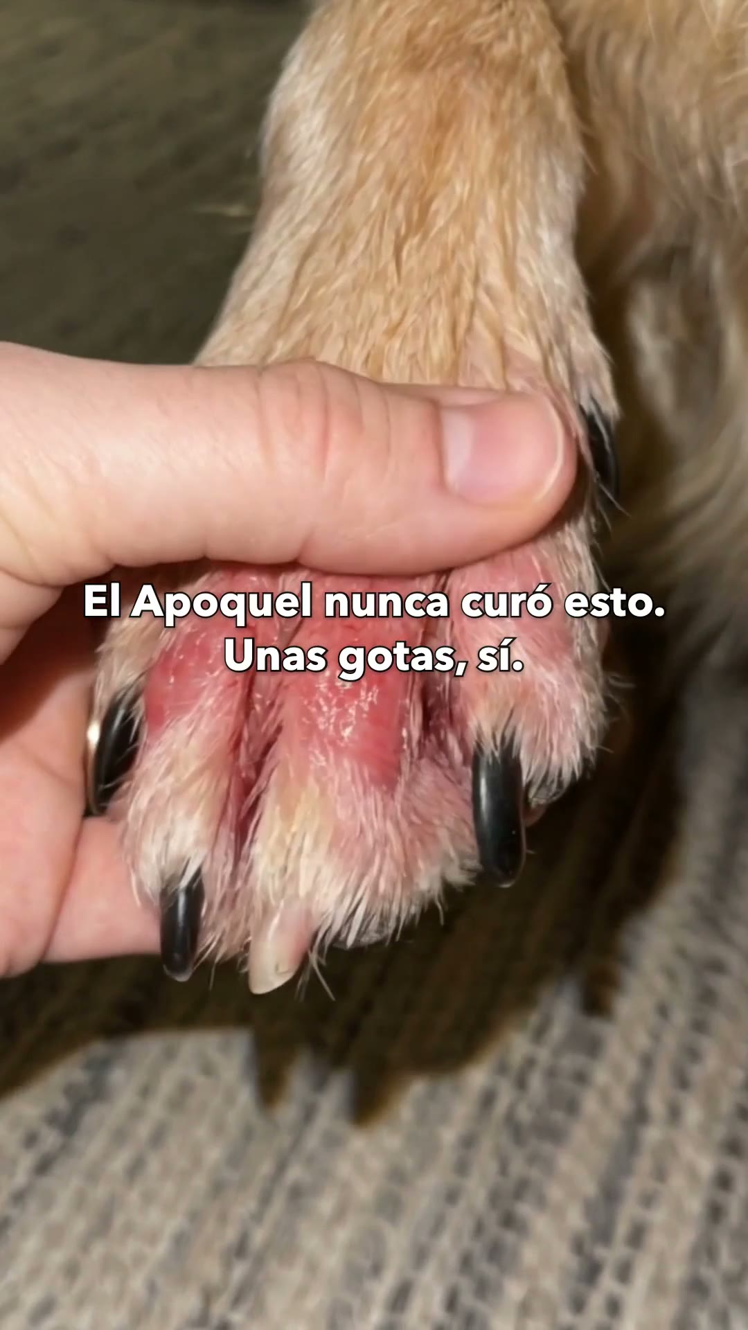 Esto es lo que uso