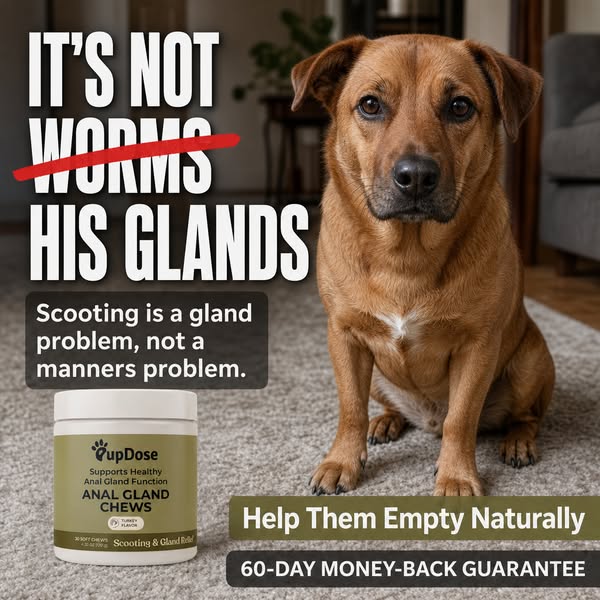 It's Not Worms