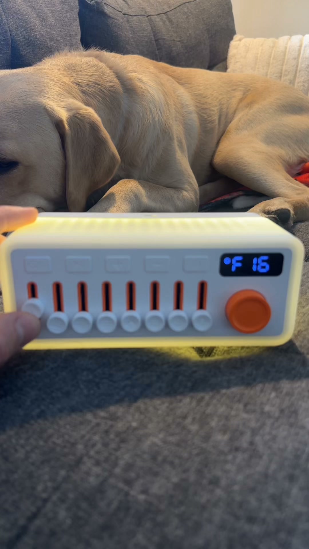 4.9 Rated Sleep System