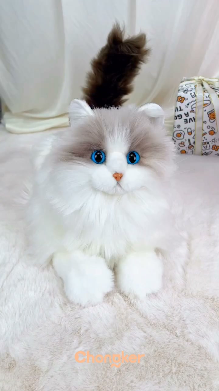 Get 10% OFF MateCat10