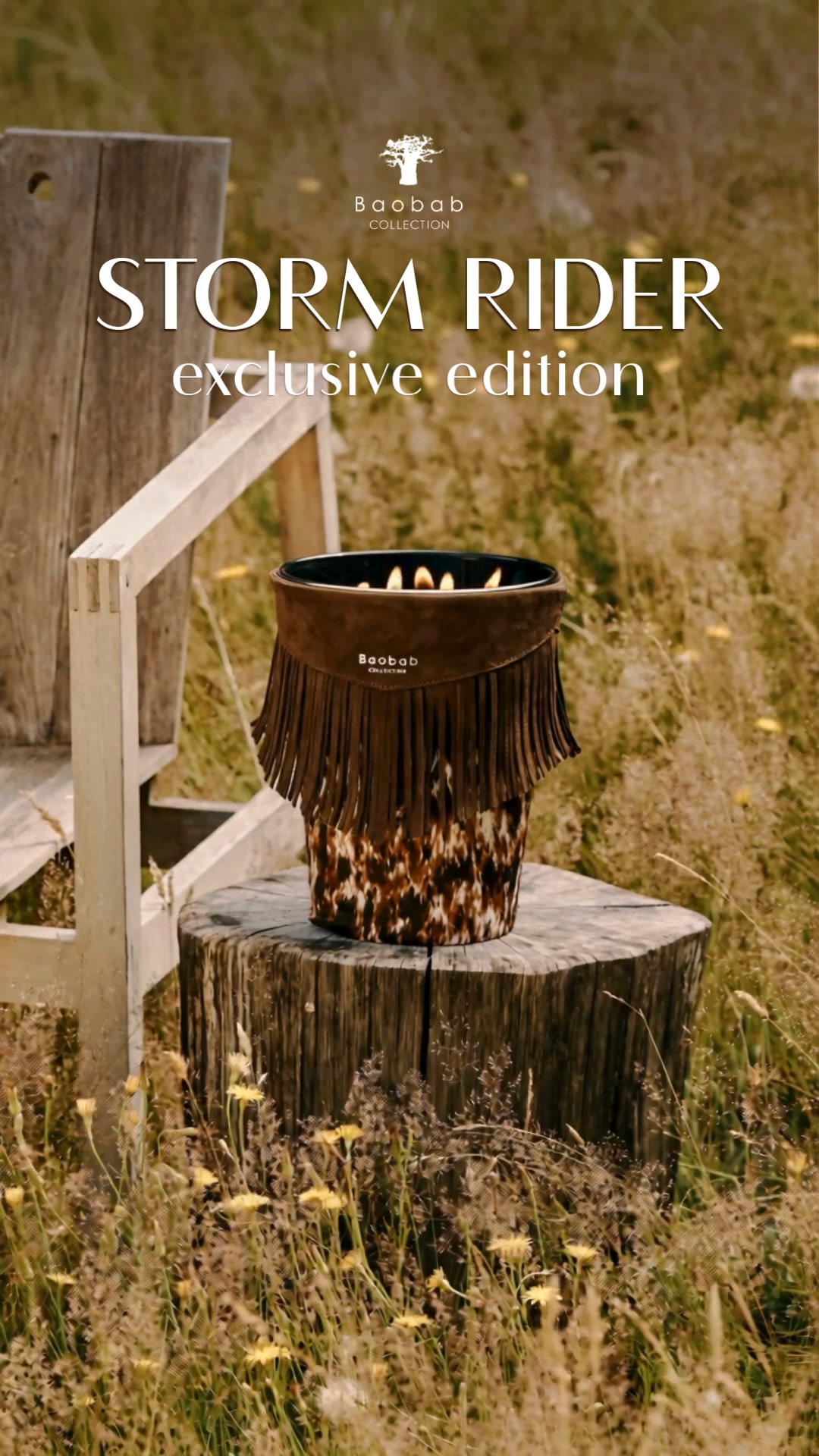 Discover our limited edition