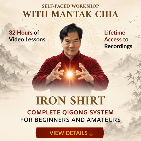 Complete Iron Shirt Qigong course
