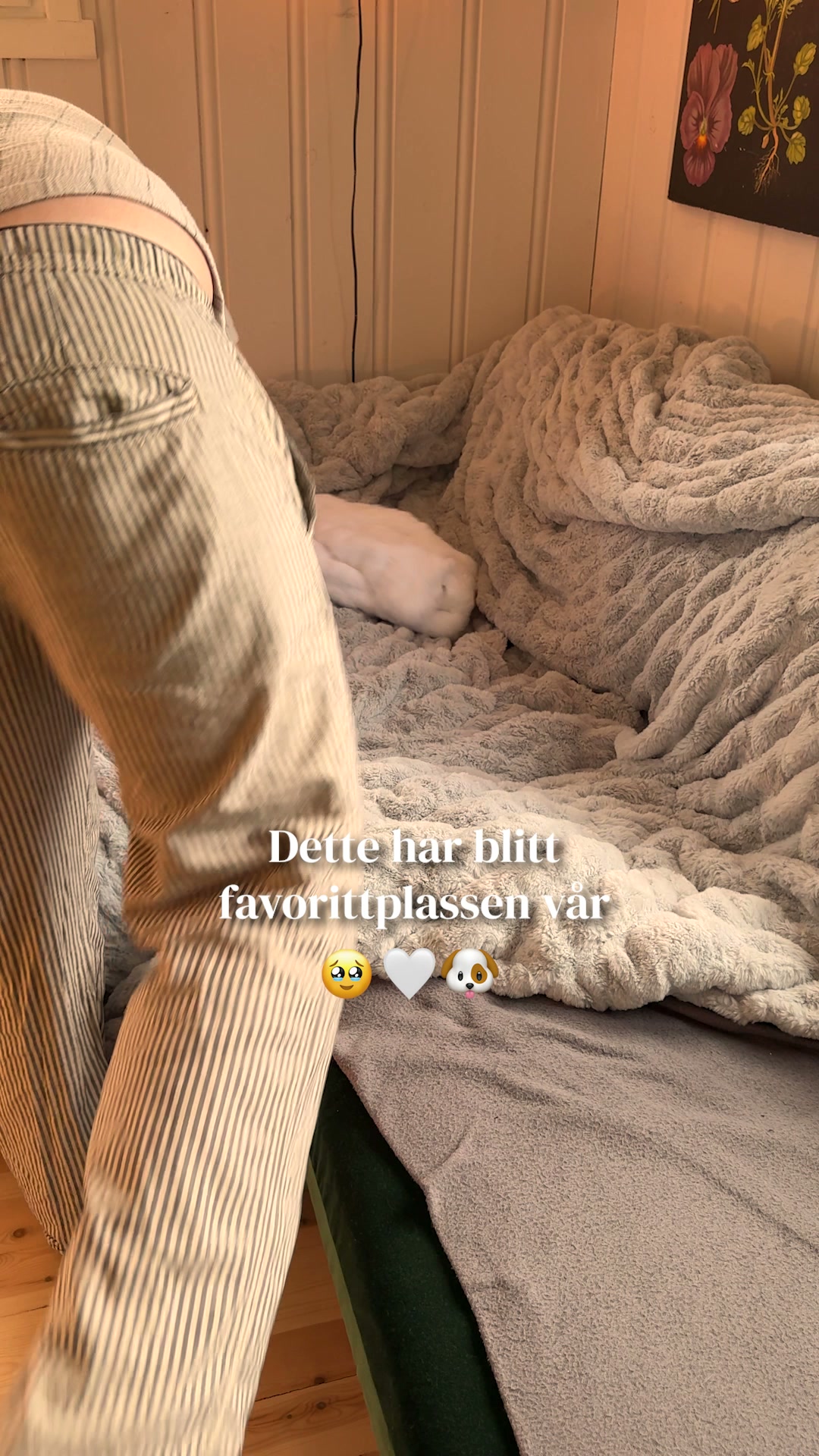 Min nye sofafavoritt