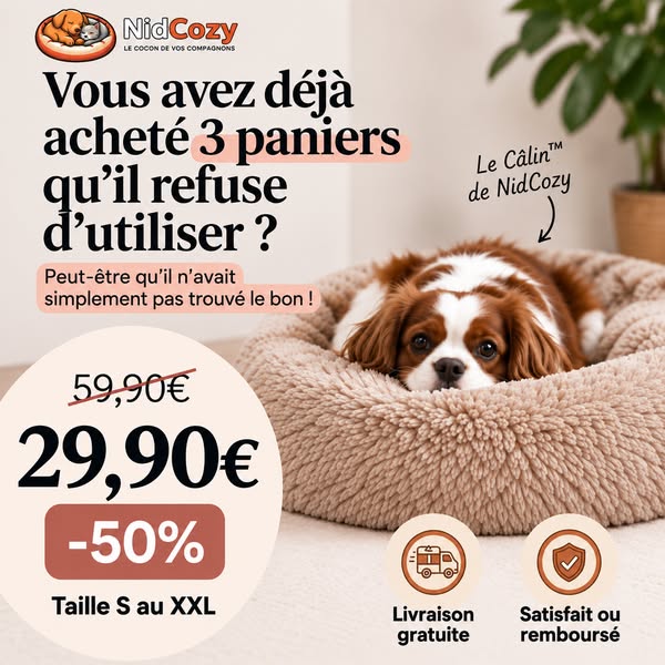 Offre limitée : Jusqu'à -50%