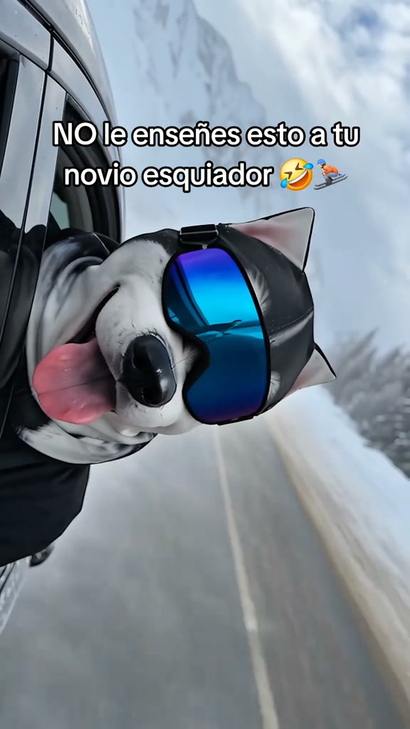 3D Cat Ski Mask with Ears
