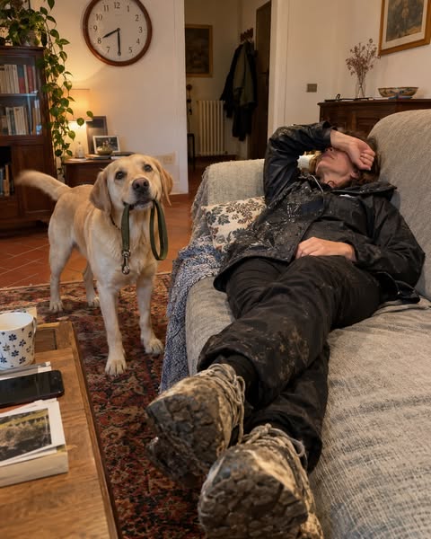 Se hai un Labrador, leggi questo