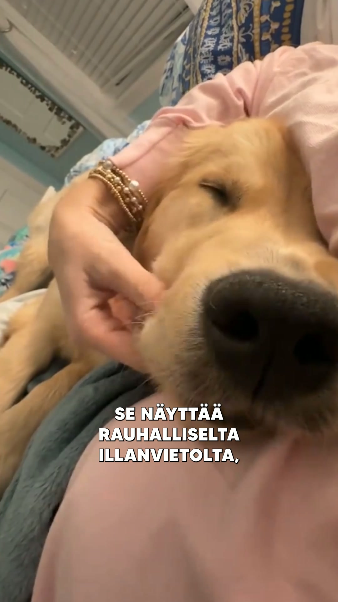 Jos tunnistat jonkin näistä merkeistä, kokeile näitä tehokkaita purupaloja