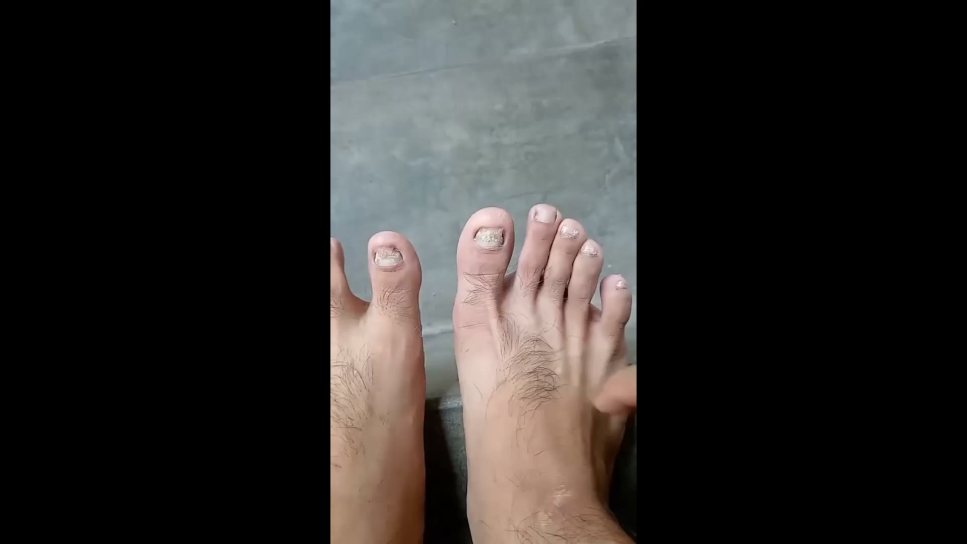 5.0 Reseñas