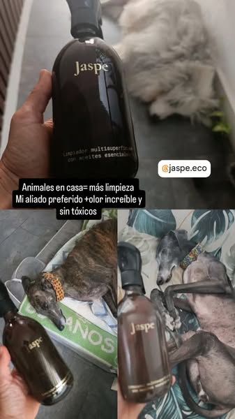 Crea tu ambiente ideal: Botella + 6 esencias por solo 29,95€
