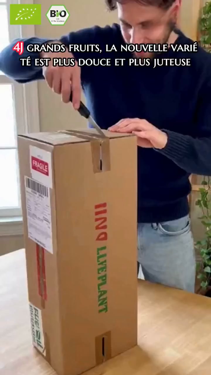 Anúncio de Gipanput atelier