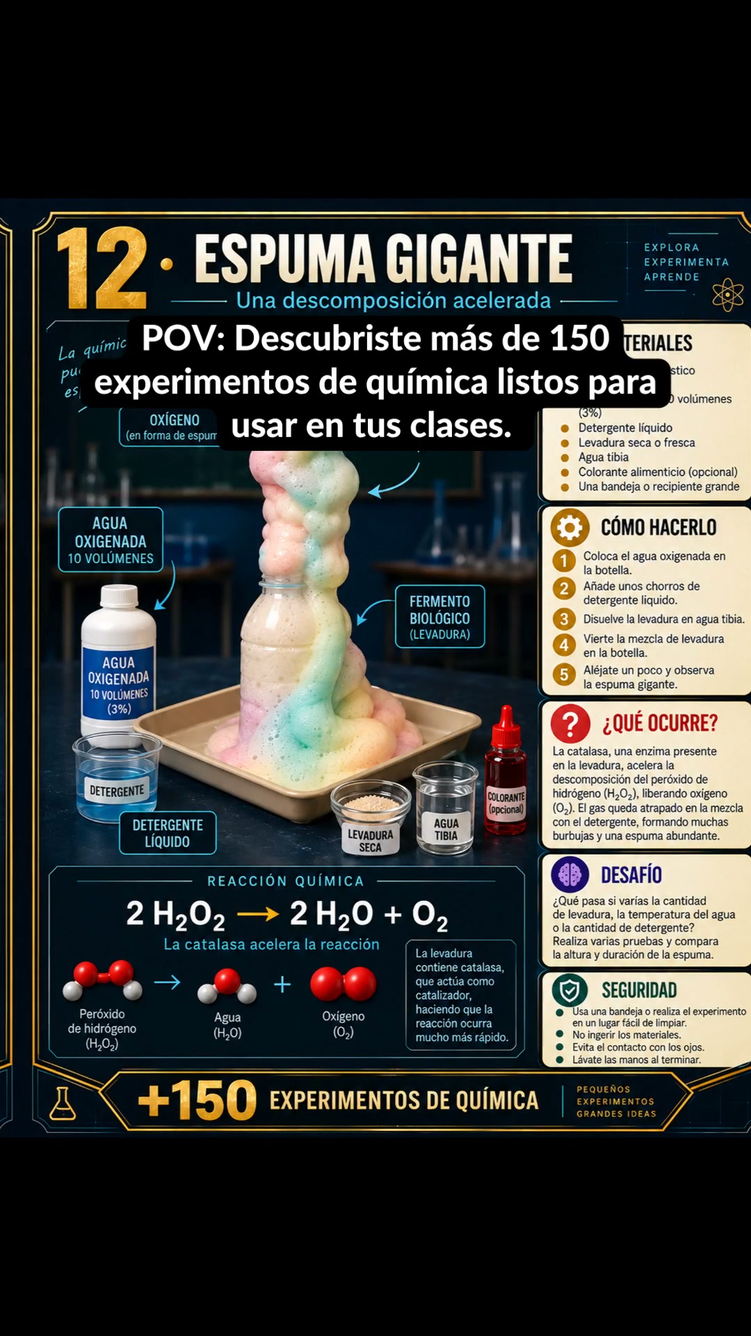 Ver el material completo