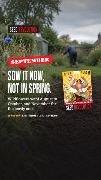 Wildflowers Made Simple