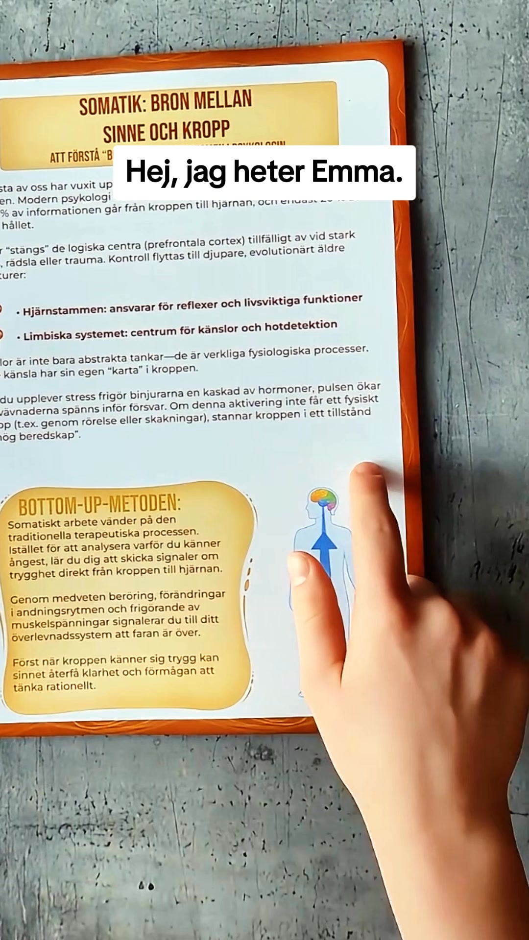 Workbook för Somatisk Terapi