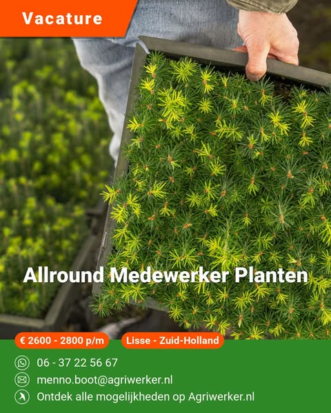 Allround Medewerker Planten | Agriwerker.nl