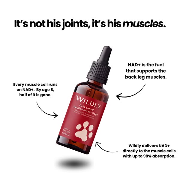 It's not his joints, it's his muscles