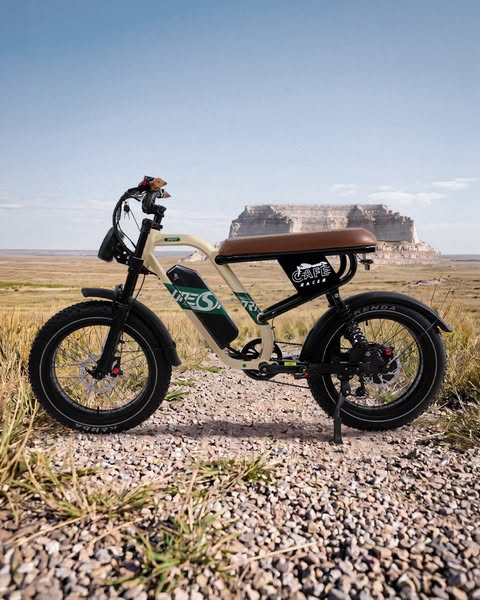 Onesport W66 Moped-Style E-Bike丨Full Suspension丨Dual Seat