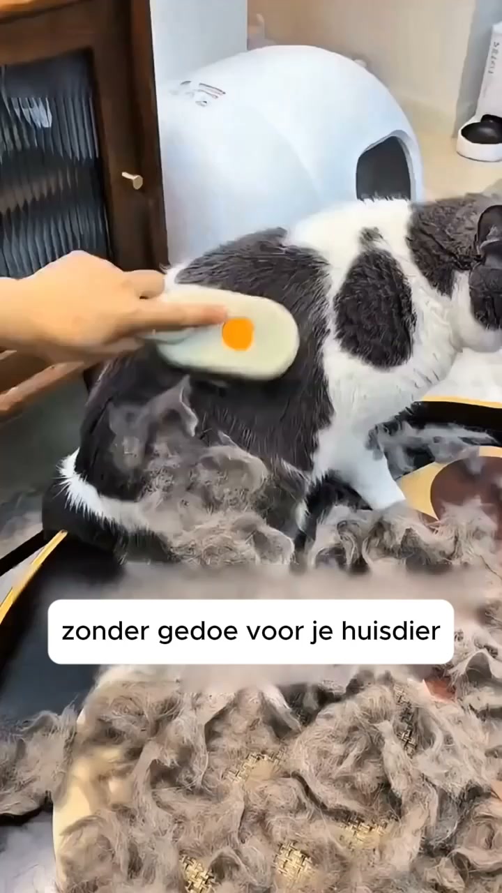 Borstelen zonder rondvliegende haren
