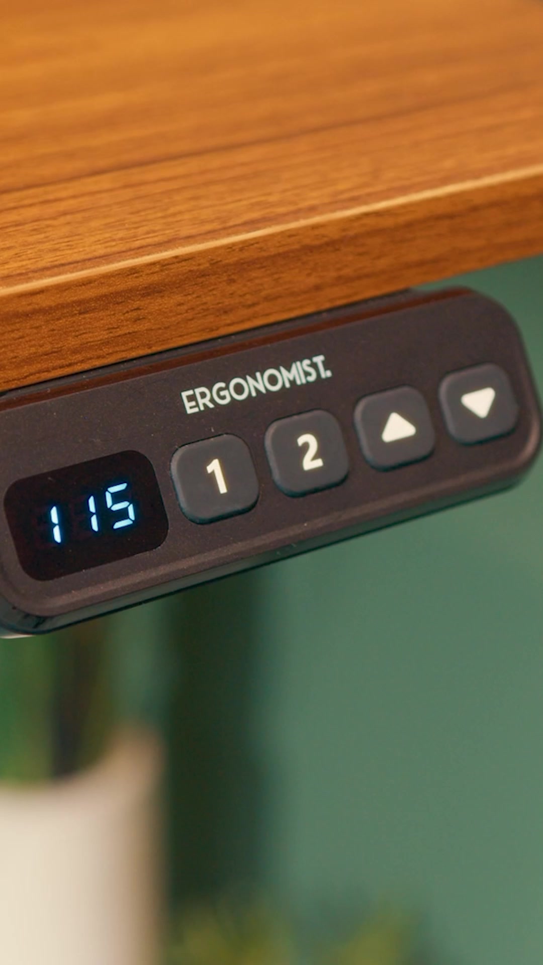 Anúncio de Ergonomist