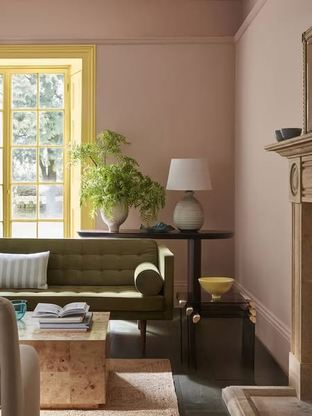 Luxury Paint & Wallpaper