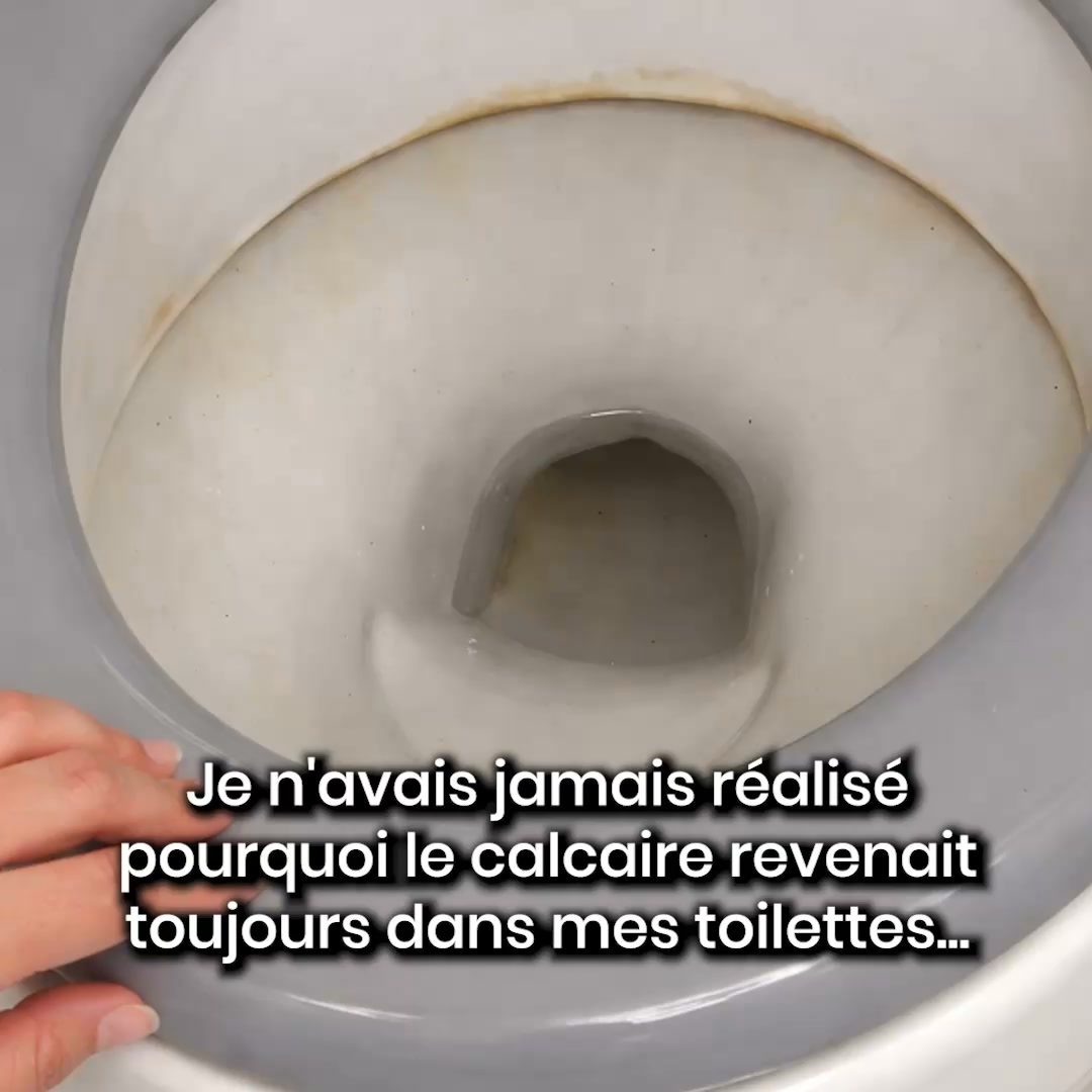 40% sur le Pack Découverte