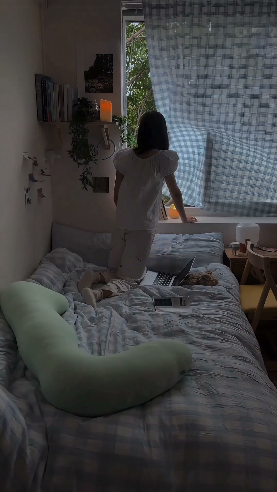Mucho más que un peluche