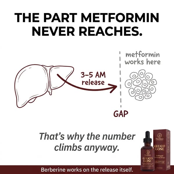 Finally. A Blood Sugar Drop That Doesn't Destroy Your Gut.