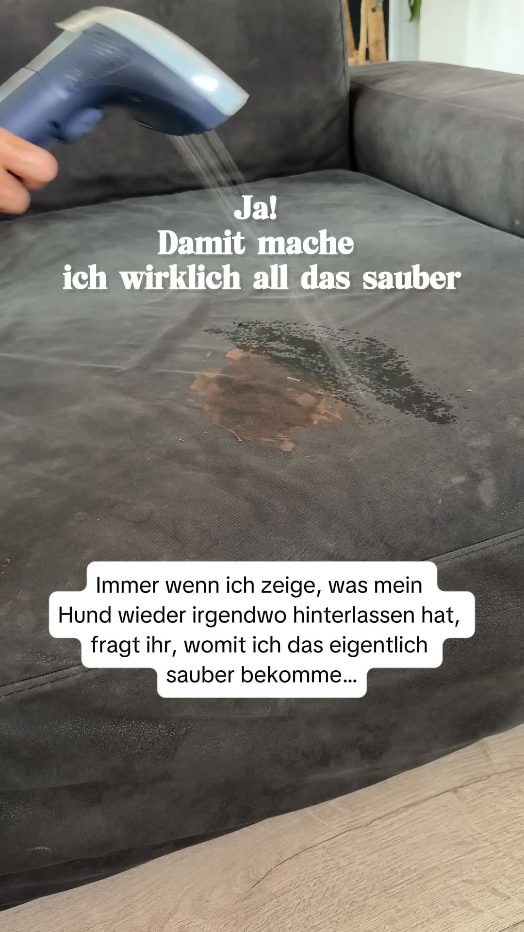 Unser Fleckenreiniger ist der Allerbeste in den Niederlanden