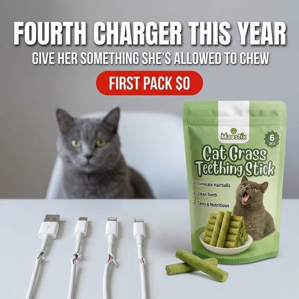 Free Today!