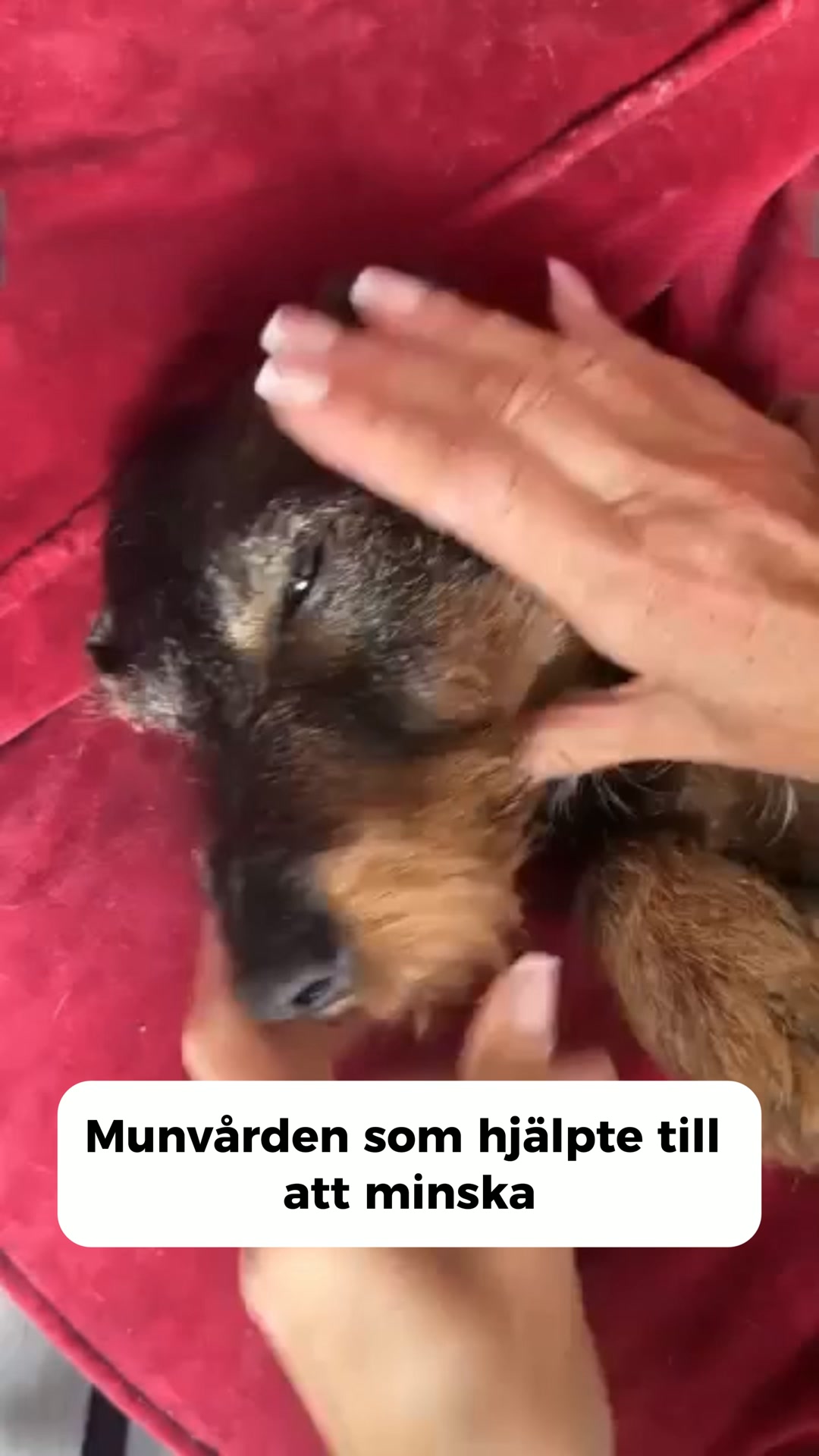 Betala senare med Klarna