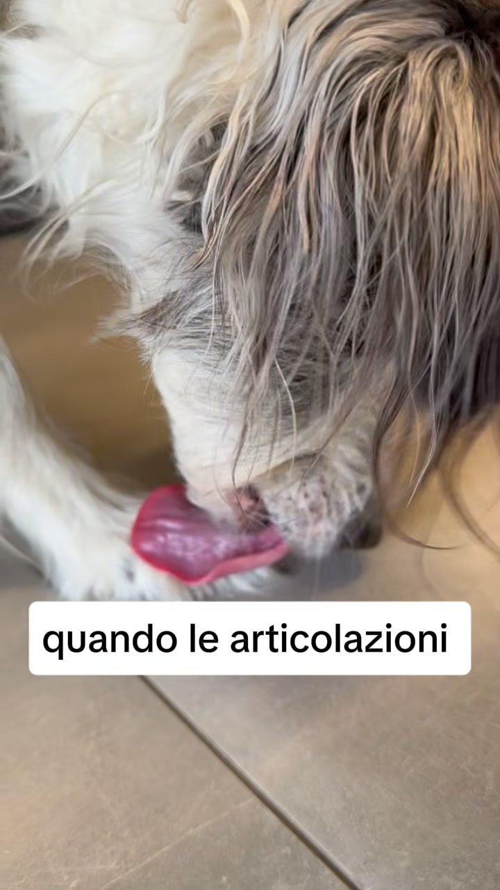 Ossa & Articolazioni